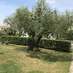 Branka
